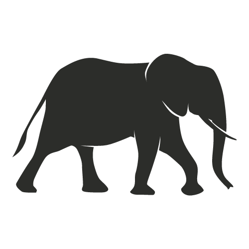 African Elephant
