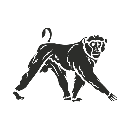 Long-tailed Macaques