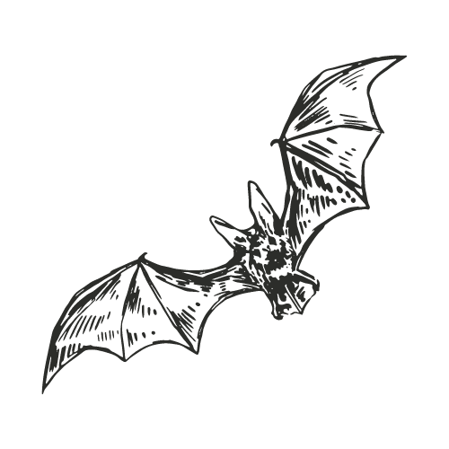 Bat