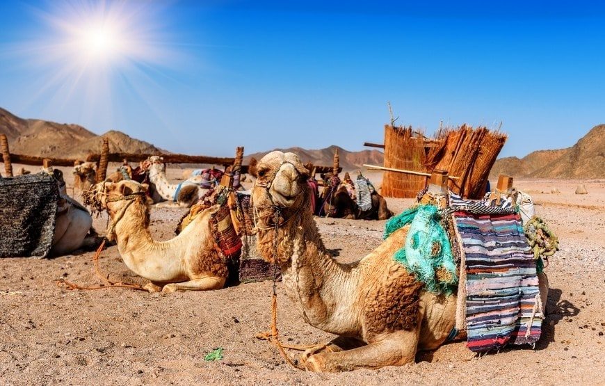 4 Nights & 5 Days Dubai Tour Package gallery