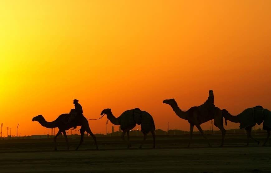 7 Nights & 8 Days Dubai Tour Package gallery