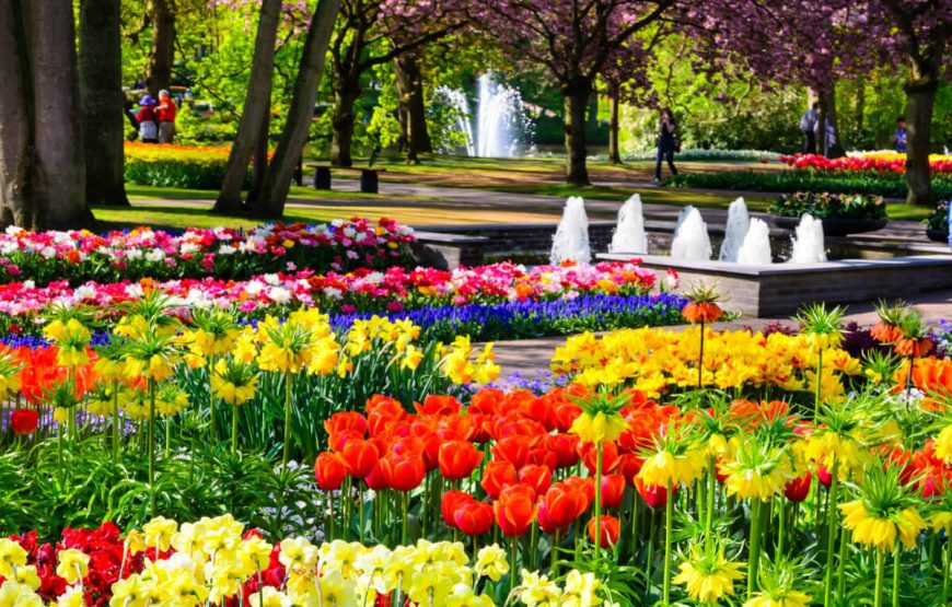 Amsterdam Brussels Tour Package gallery