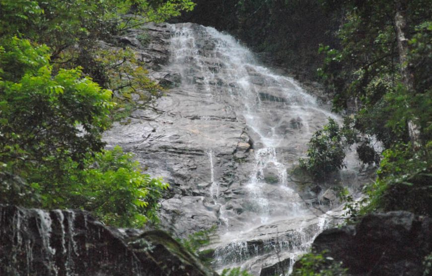 Amazing Gangtok Darjeeling Tour gallery