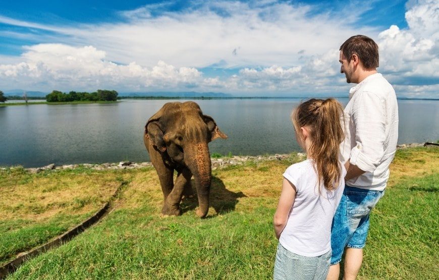 Enchanting Colombo Trip Package