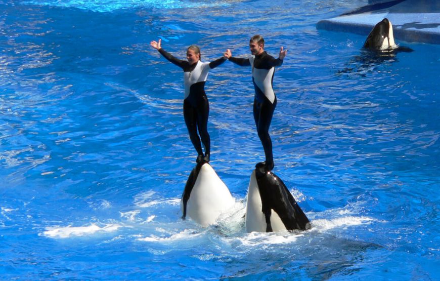 Explore Hot Fiji Deal for 6 Nights and 7 Days | Itinerary gallery