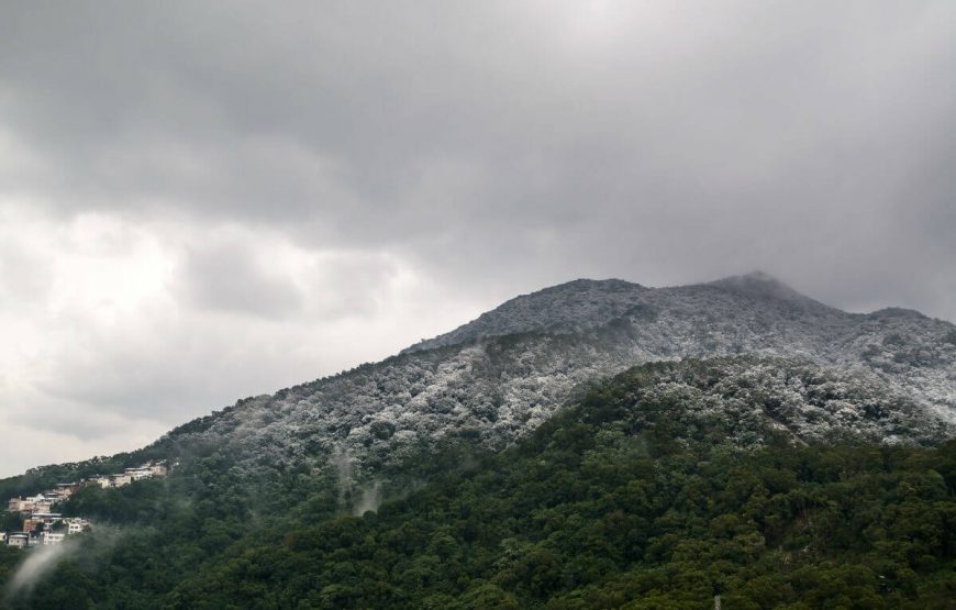 Exploring Lovely South Korea | 6 Days Itinerary