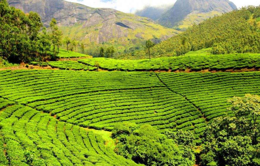 Discover Darjeeling and Gangtok Tour