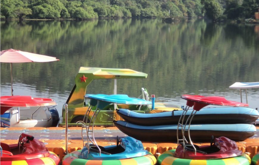 Dazzling Goa Special Offer Package gallery