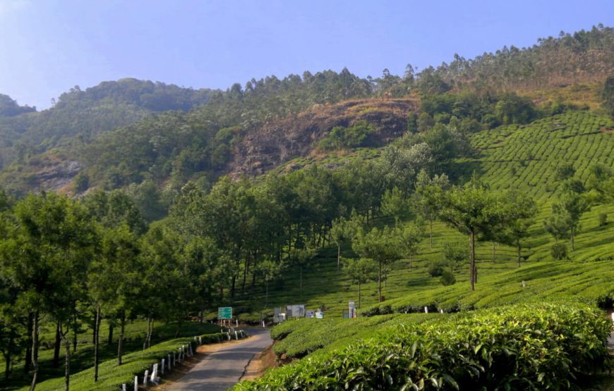 Mesmerizing Kerala Backwaters Tour Package gallery