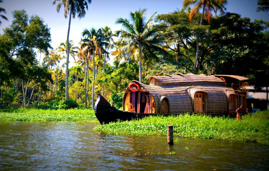 Idealistic Kerala Tour gallery