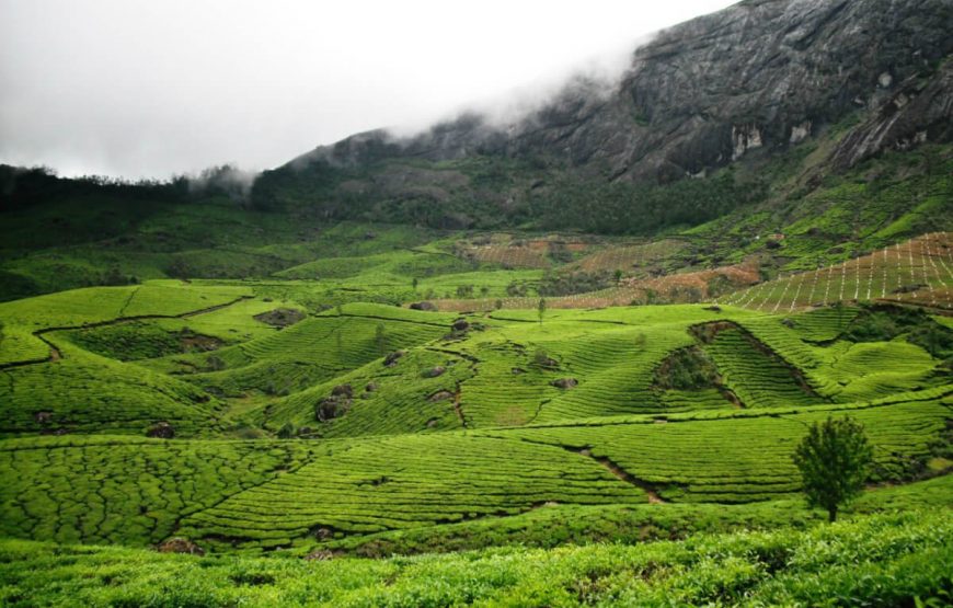 Wonders of Kerala gallery