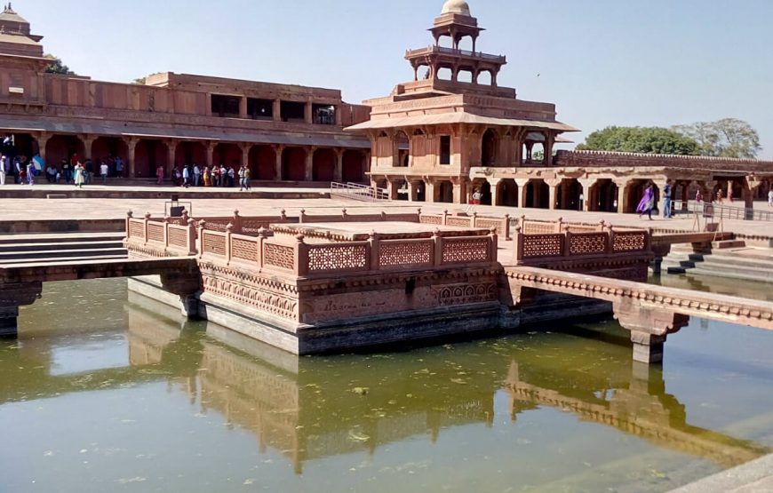 Delightful North India Tour Package