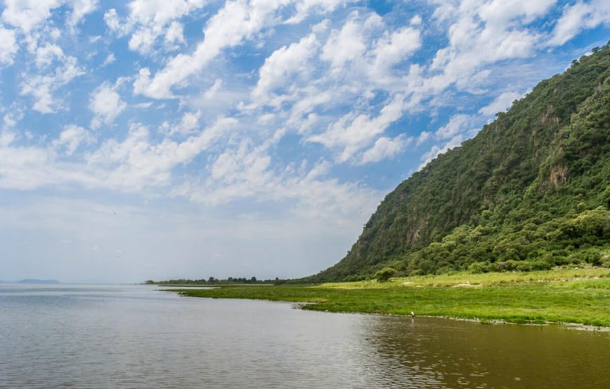 Safari Adventure in Tanzania: A 7-Day Journey from Arusha to Tarangire gallery