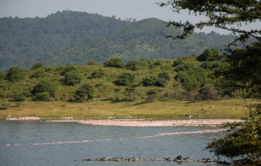 Safari Adventure in Tanzania: A 7-Day Journey from Arusha to Tarangire gallery