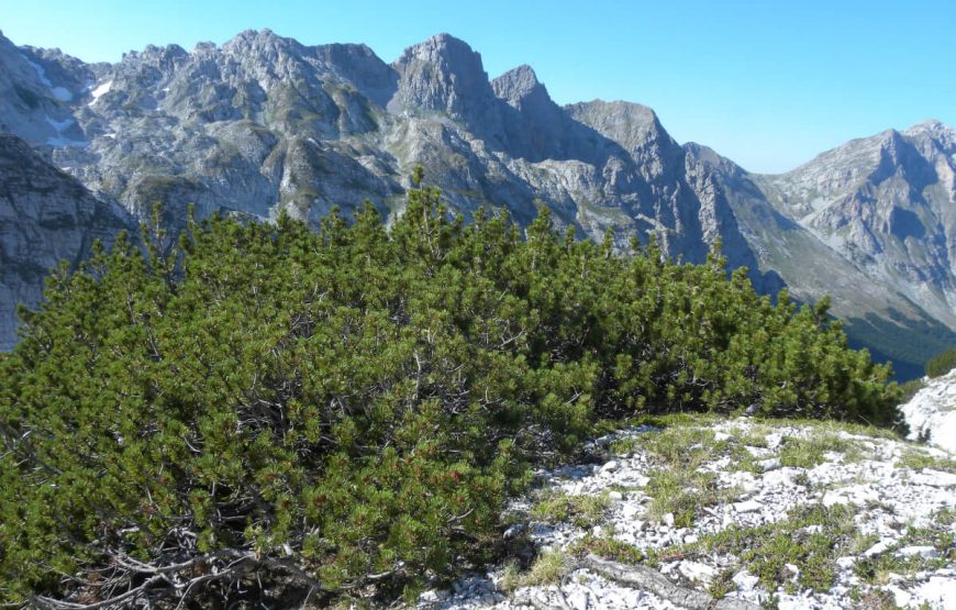 Jewels of Seychells with Mahe gallery