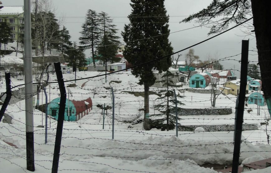 Best Shimla Manali Tour