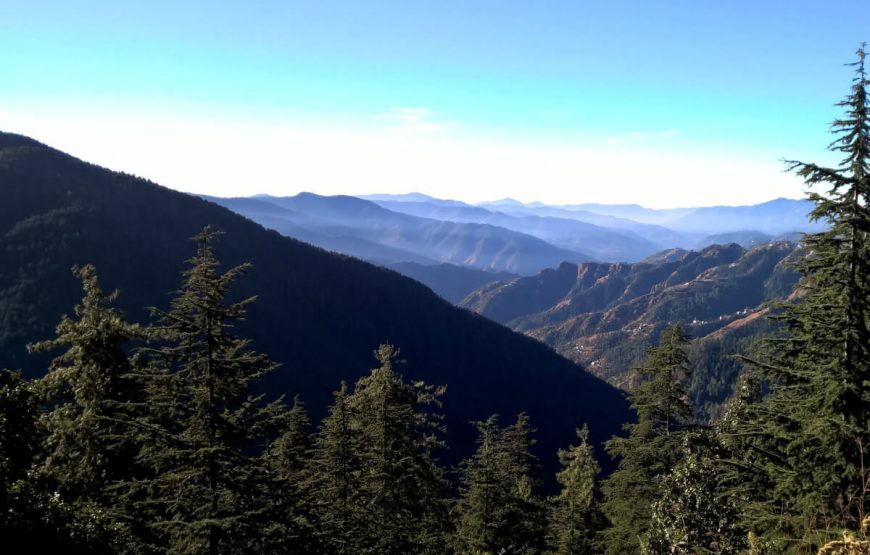 Best Shimla Manali Tour gallery