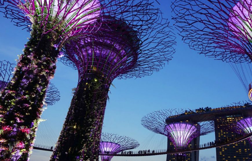 Sizzling Singapore Holiday Package gallery