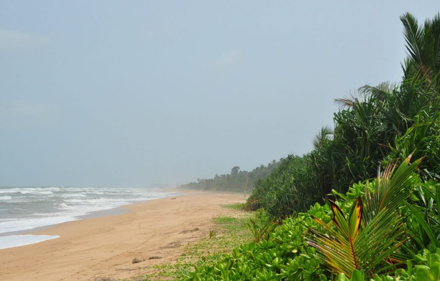 Best of Sri Lanka Holiday Package gallery