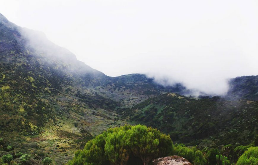 Kenya’s Wildlife Extravaganza: The Ultimate Samburu Safari Tour Package gallery