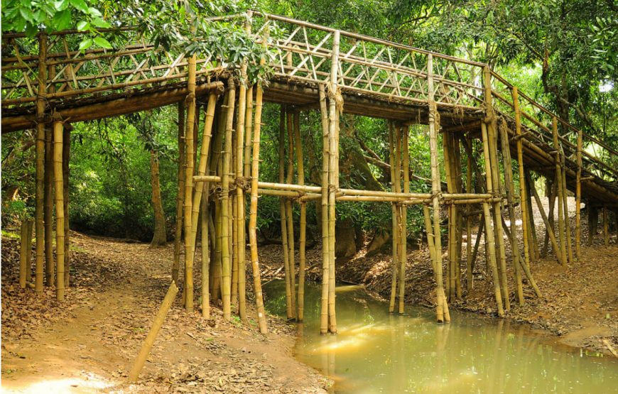 A Vivifying Vacation to Ooty and Wayanad gallery