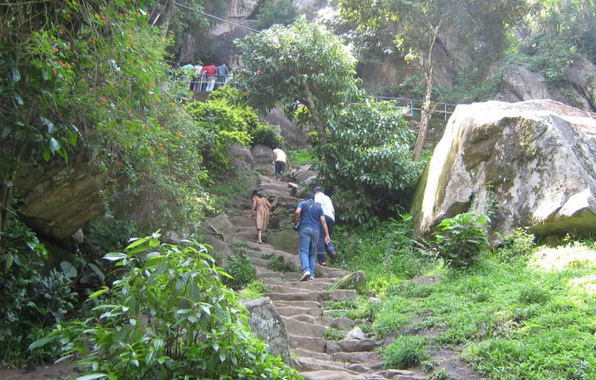 Escape to Wayanad gallery