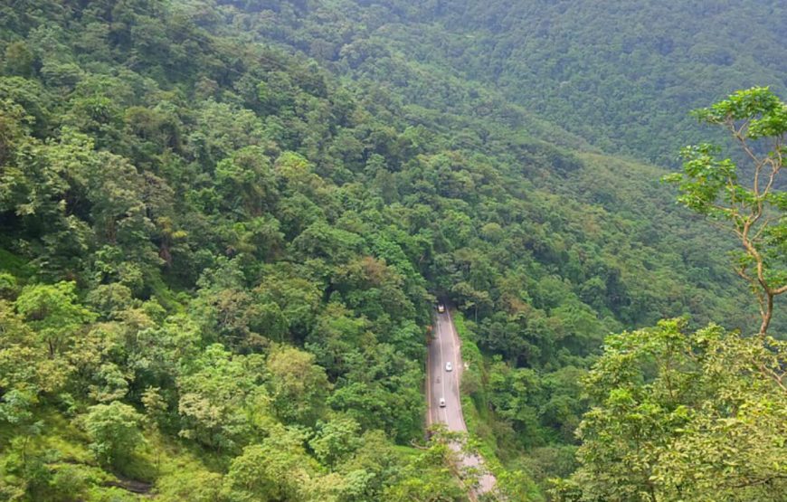 Escape to Wayanad gallery