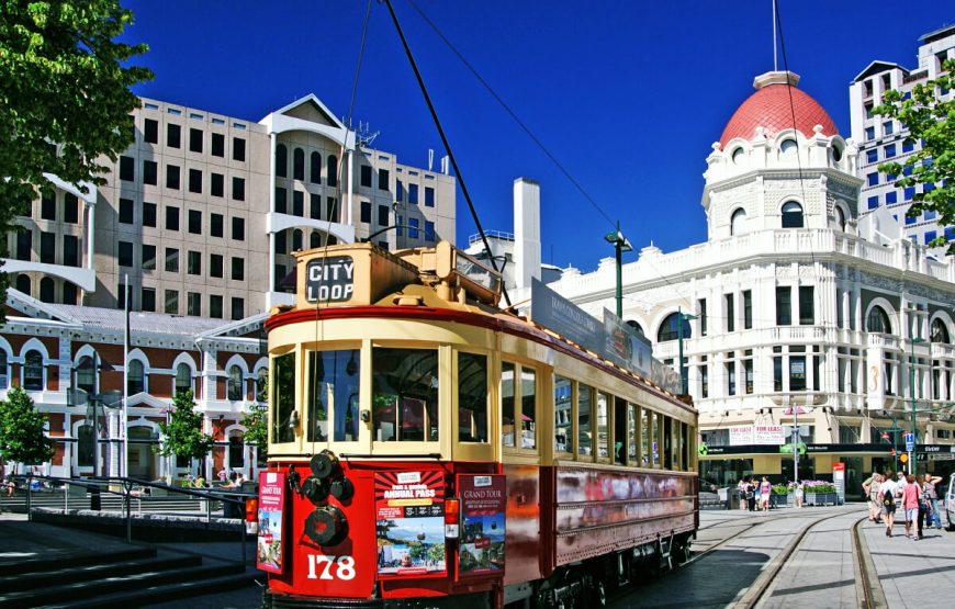 Wellington Tour Packages gallery