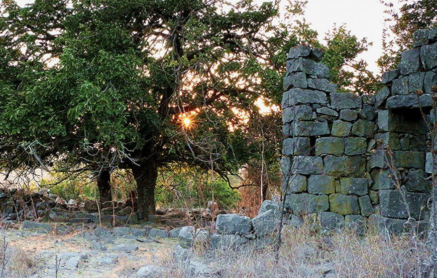 Witness the Highlights of Israel | Itinerary gallery