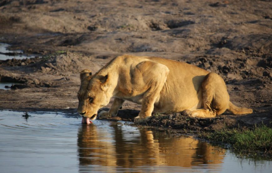 Zimbabwe Panoramic Trip: A Journey from Harare to Victoria Falls gallery
