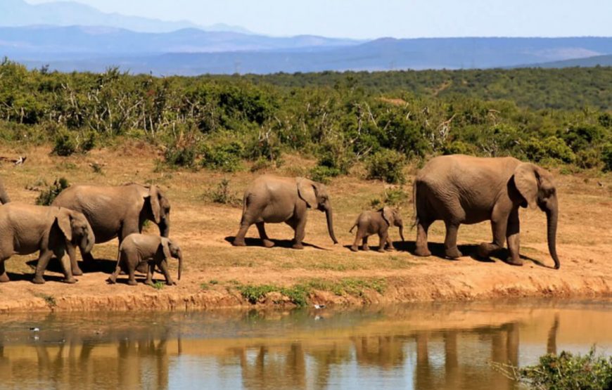 Zimbabwe Panoramic Trip: A Journey from Harare to Victoria Falls gallery